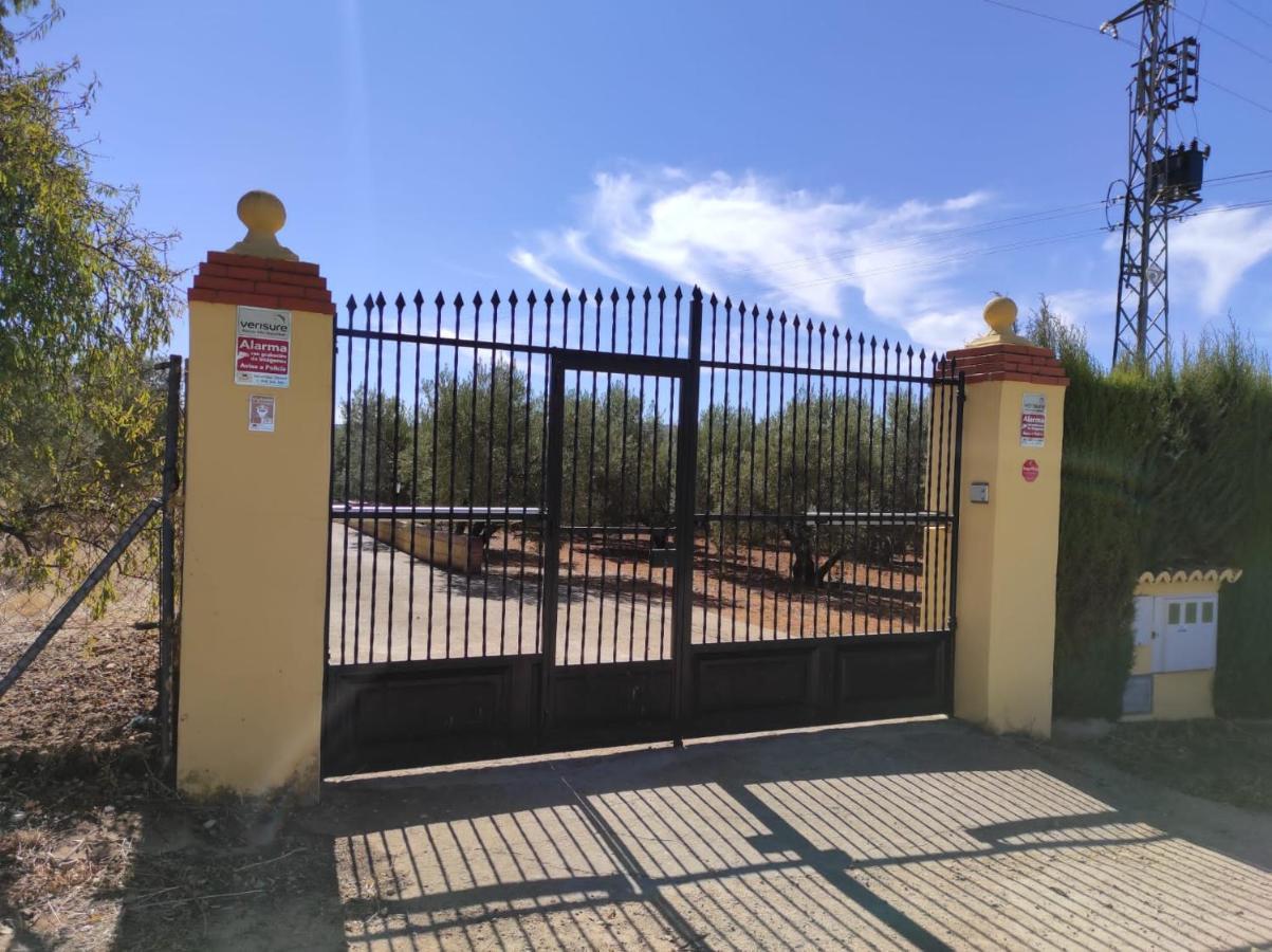 Los Abuelos Setenil De Las Bodegas Экстерьер фото
